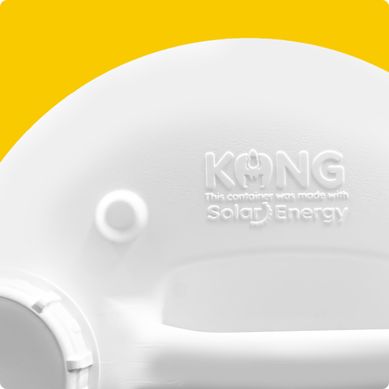 kong-solar-energy